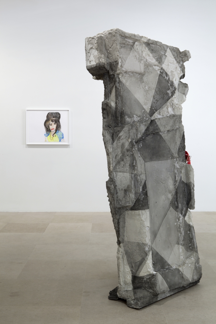 Rachel Harrison, Installation view, The Help, Greene Naftali, New York, 2012