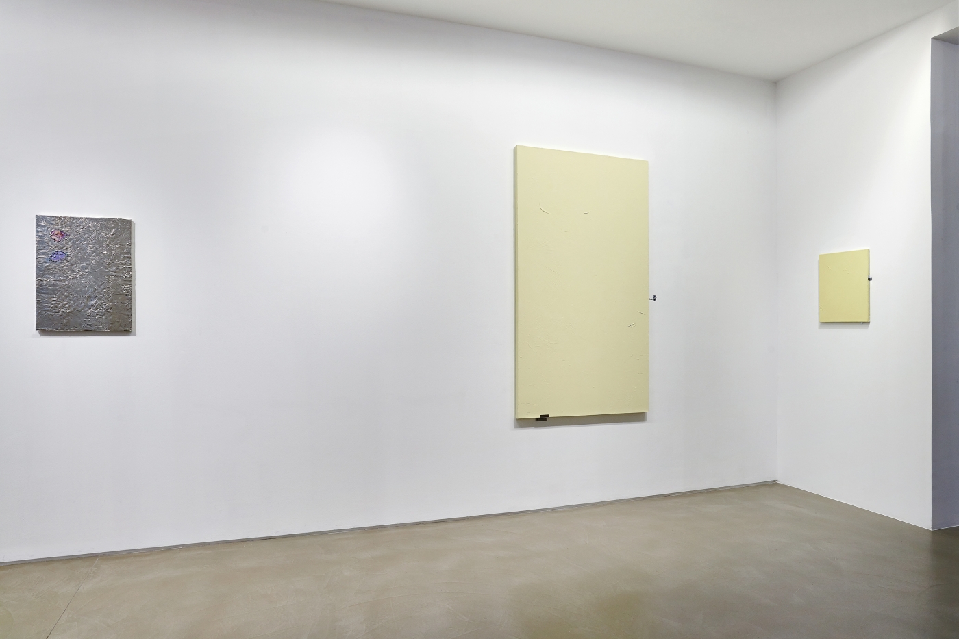 Installation view, Greene Naftali Gallery at Galerie Chantal Crousel: Arrangement in Gray, Galerie Chantal Crousel, Paris, 2020