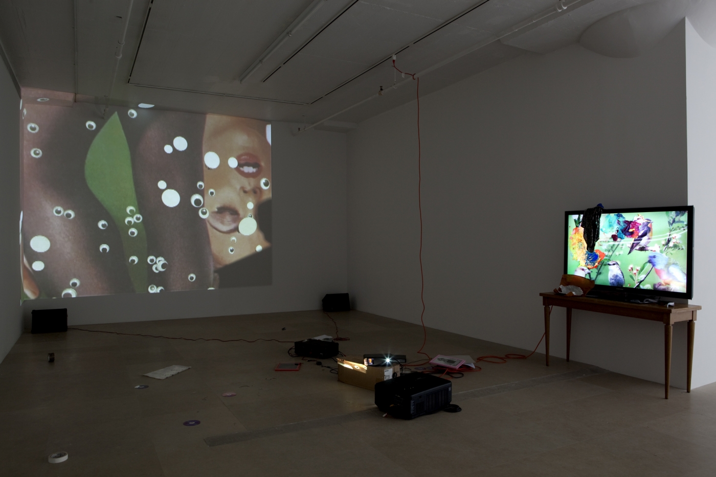 Trisha Baga, Peacock, 2011