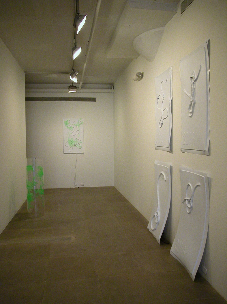 Seth Price, Untitled, 2006: Montignac, vacuum-formed polystyrene, rope, ink, Knots: Squares, Bowline, Sheepshank, Granny, vacuum-formed polystyrene, rope, ink, Untitled, PETG, plastic ink, grommets, Installation view, Greene Naftali, New York, 2006
