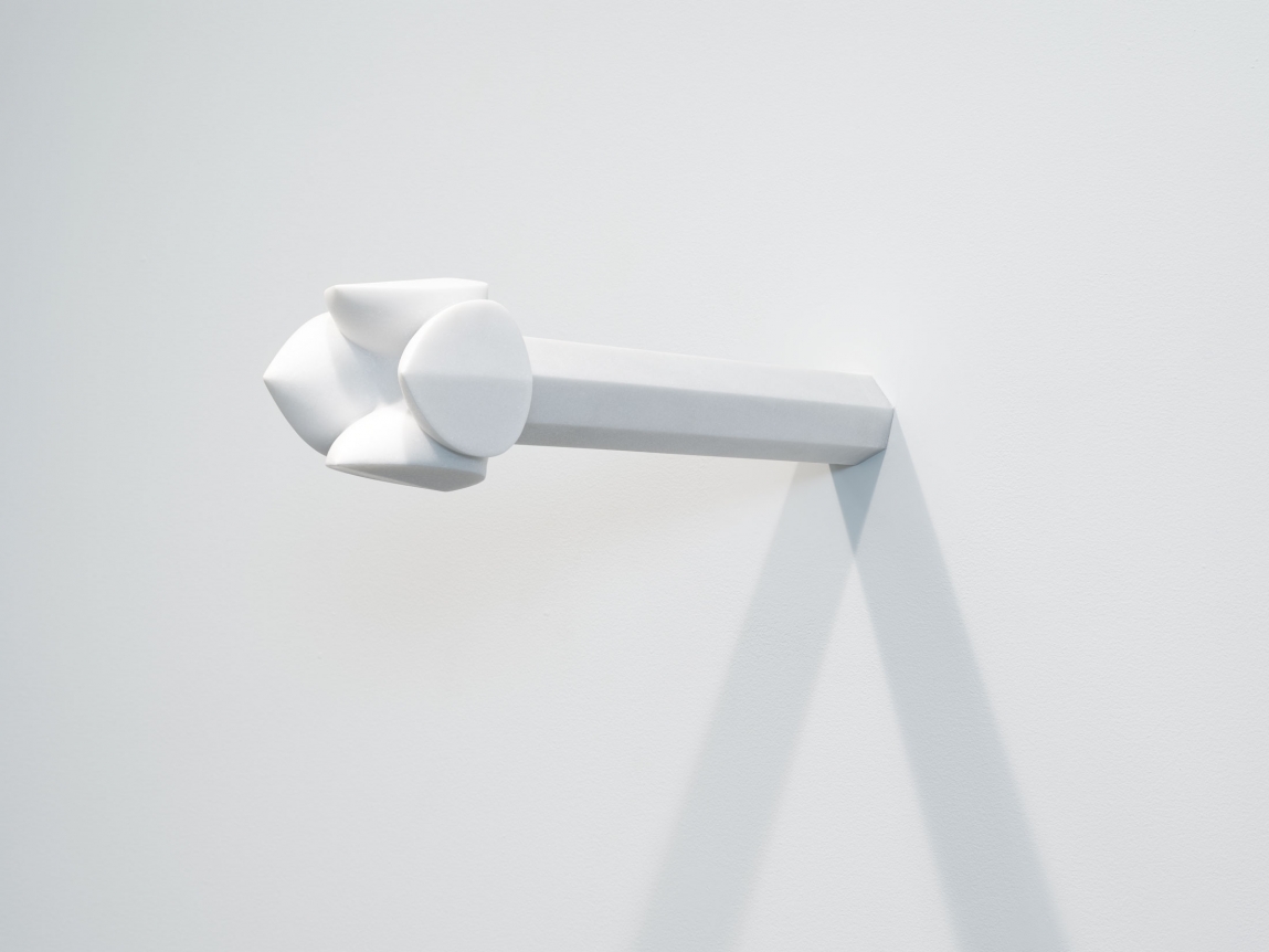 Liu Dongxu, White Flower, 2018