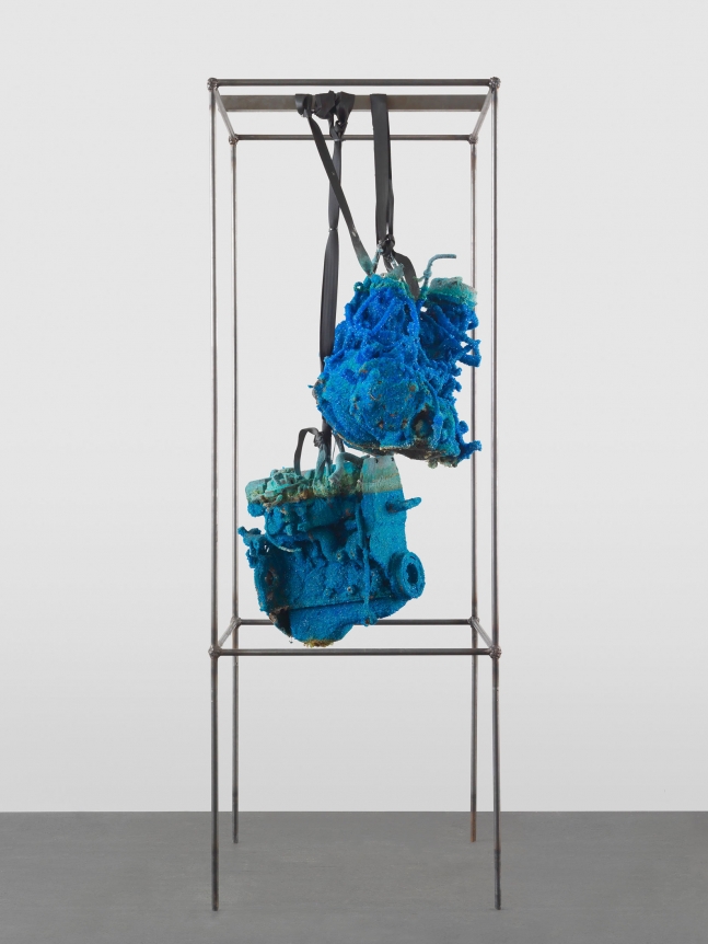 Roger Hiorns Untitled, 2013 