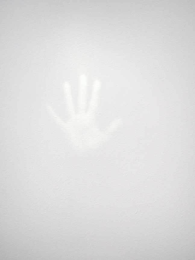 Tom Friedman , Wall, 2017