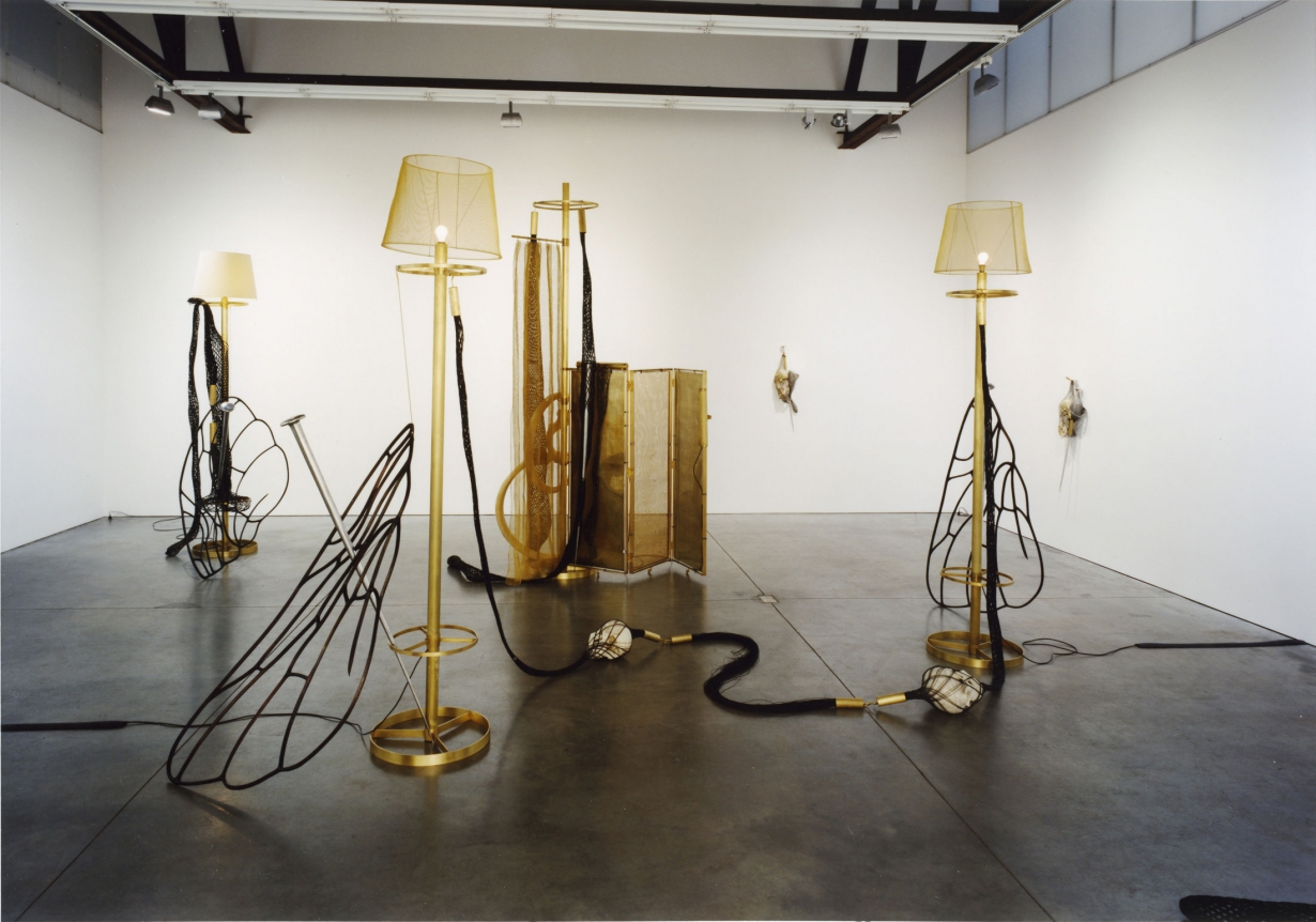 Tunga, Installation view