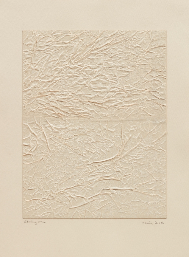 Zarina Starting Over, 2016