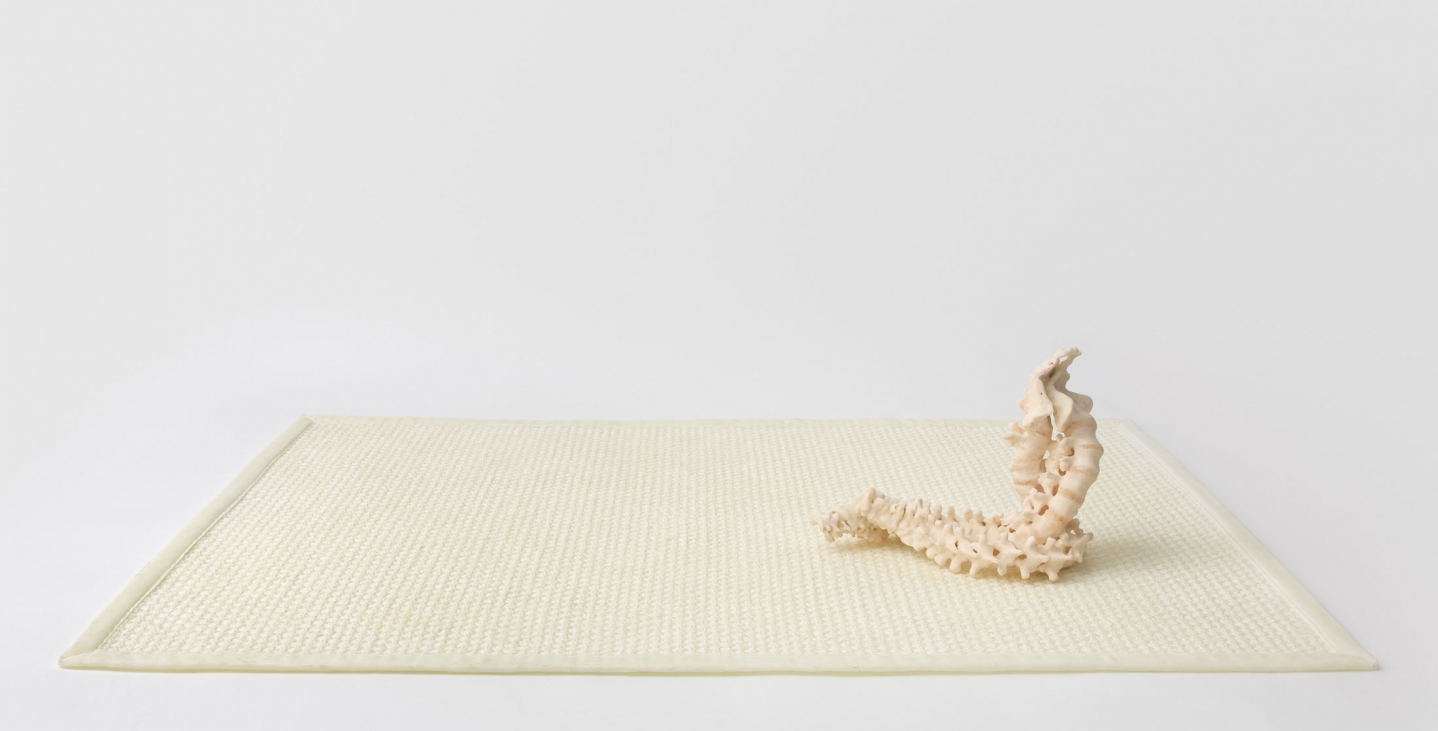 Janine Antoni to twine, 2015 