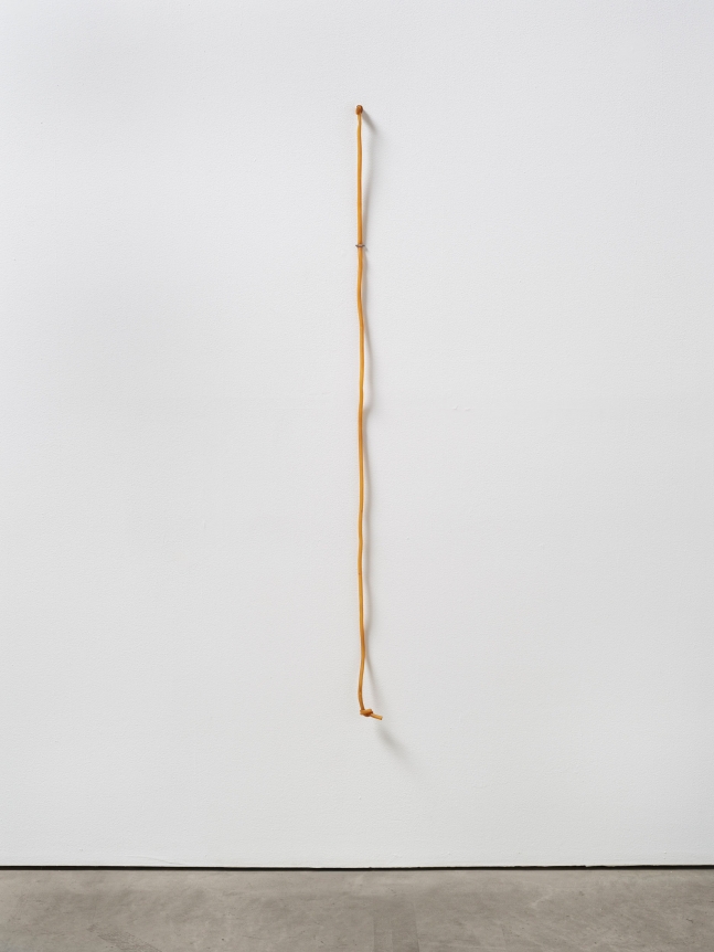Lucia Nogueira Untitled, 1990