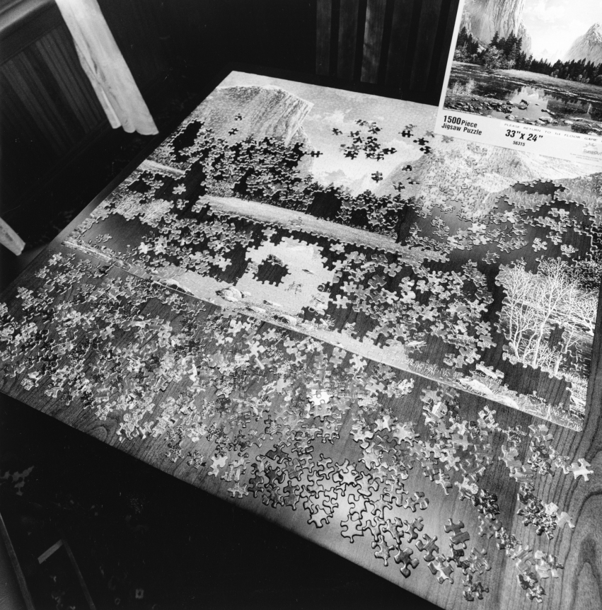 Lee Friedlander, New York State, 2008