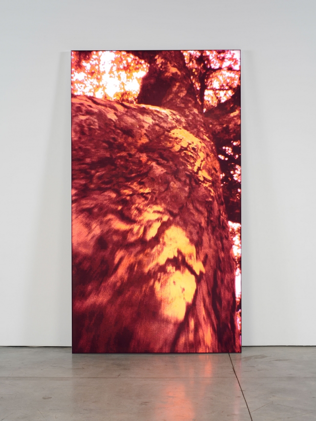 Pipilotti Rist, Untitled 2, 2009