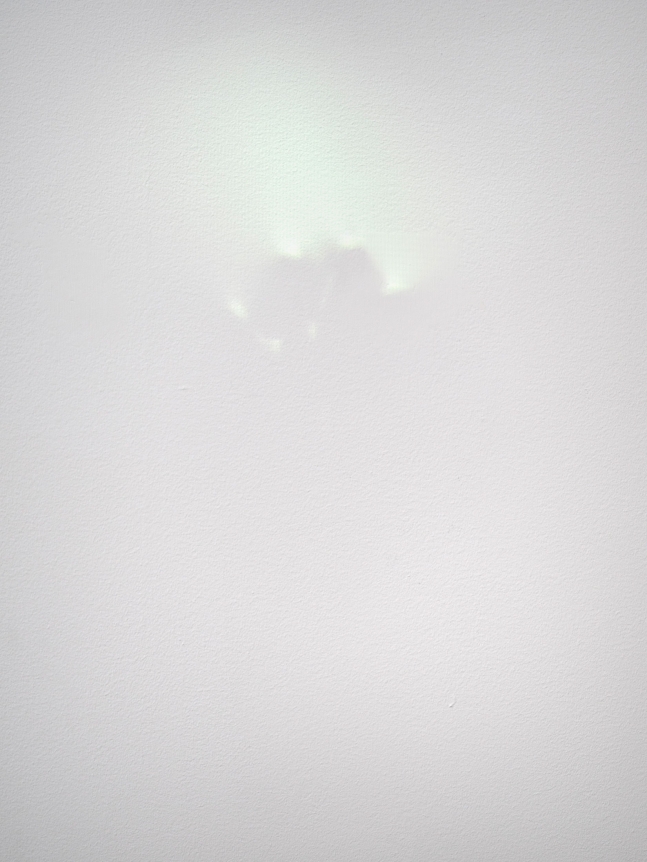 Tom Friedman , Wall, 2017