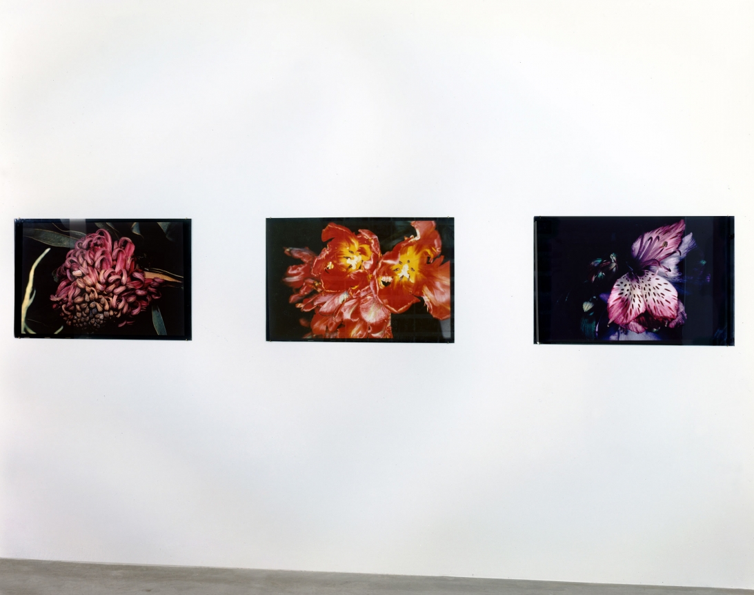 Exposure, Installation view