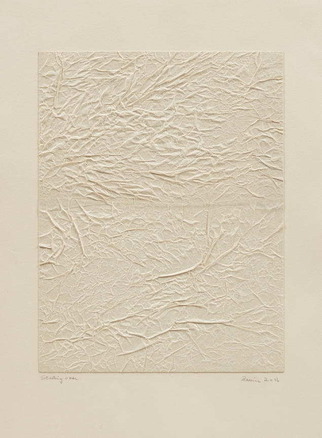 Zarina Starting Over, 2016 