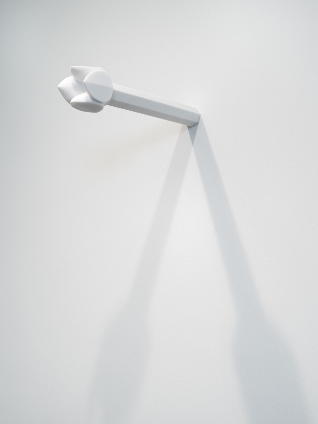 Liu Dongxu, White Flower, 2018