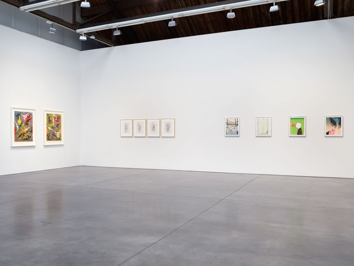Prints and Editions Installation view January 25 – February 23, 2019 Luhring Augustine, New York Pictured from left: Philip Taaffe, Christopher Wool, Sanya Kantarovsky