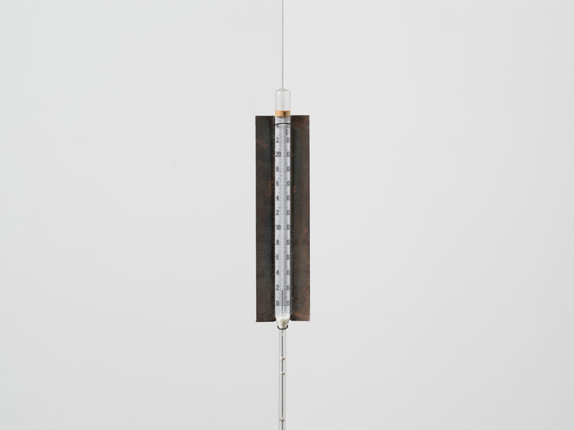 Lucia Nogueira Untitled, 1988