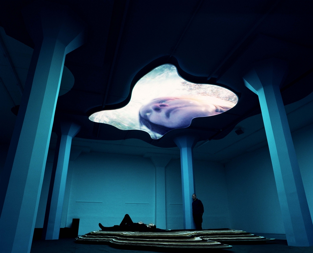 Pipilotti Rist Tyngdkraft, var min van, (Gravity Be My Friend), 2007