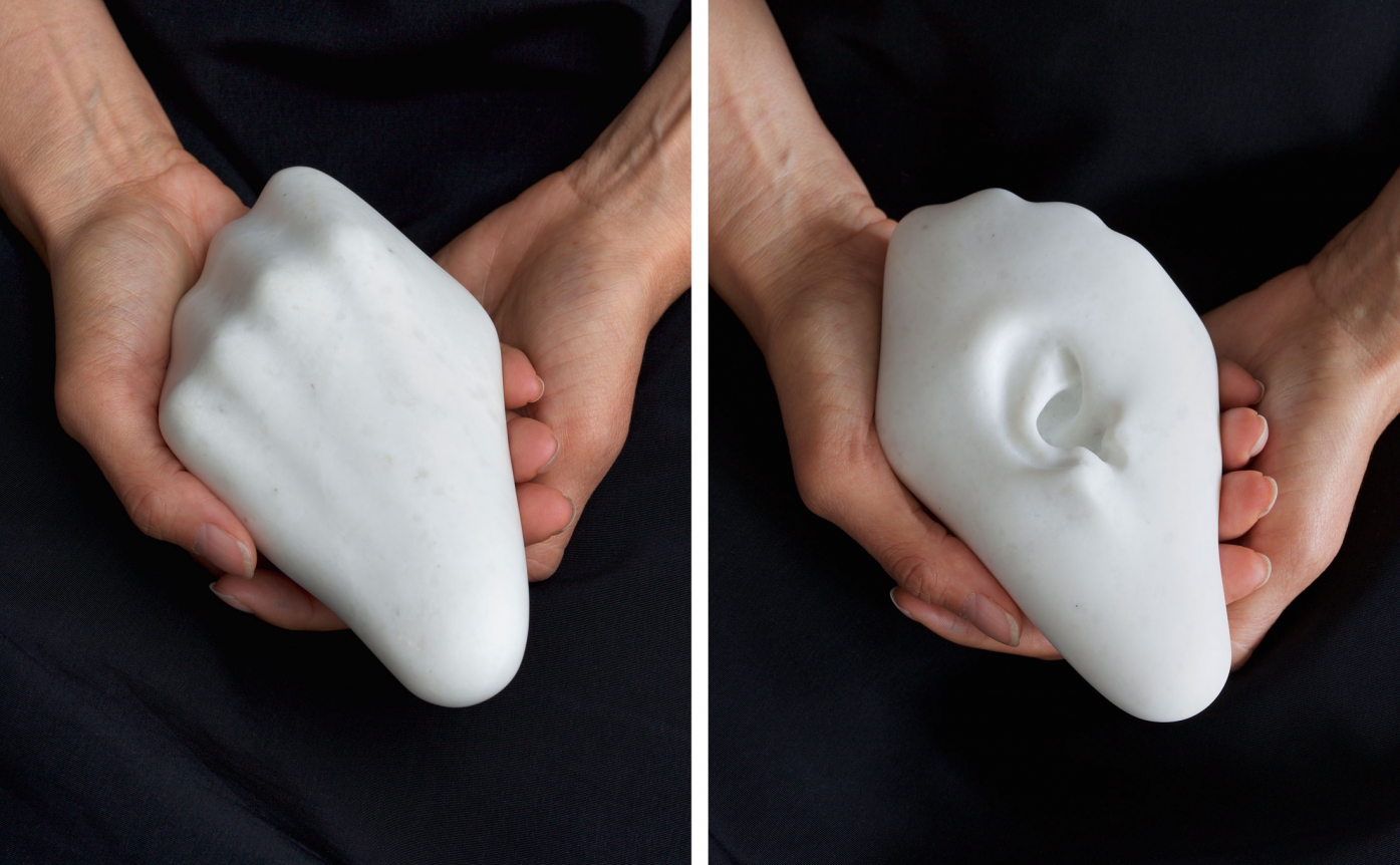 Janine Antoni, Behold, 2014