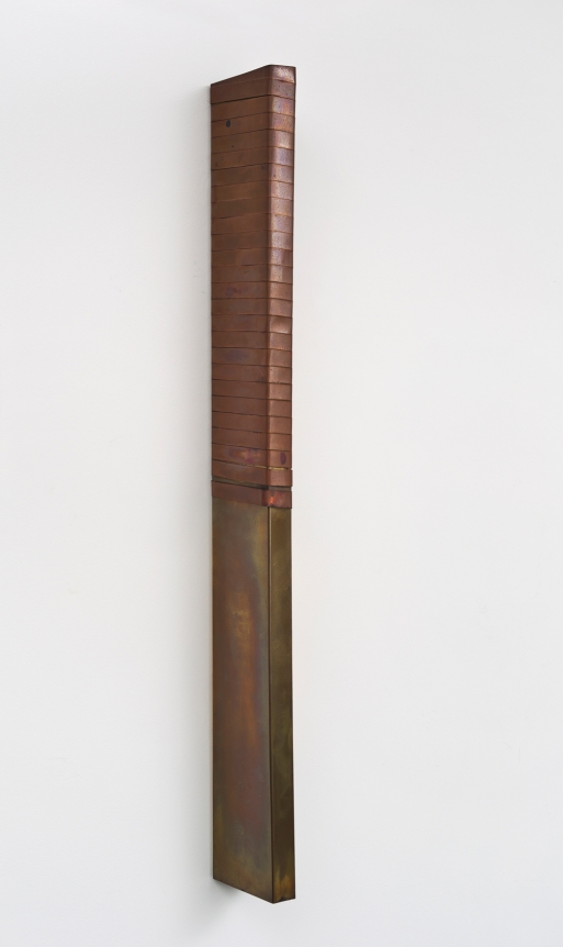 Willys de Castro , Sem titulo, 1988