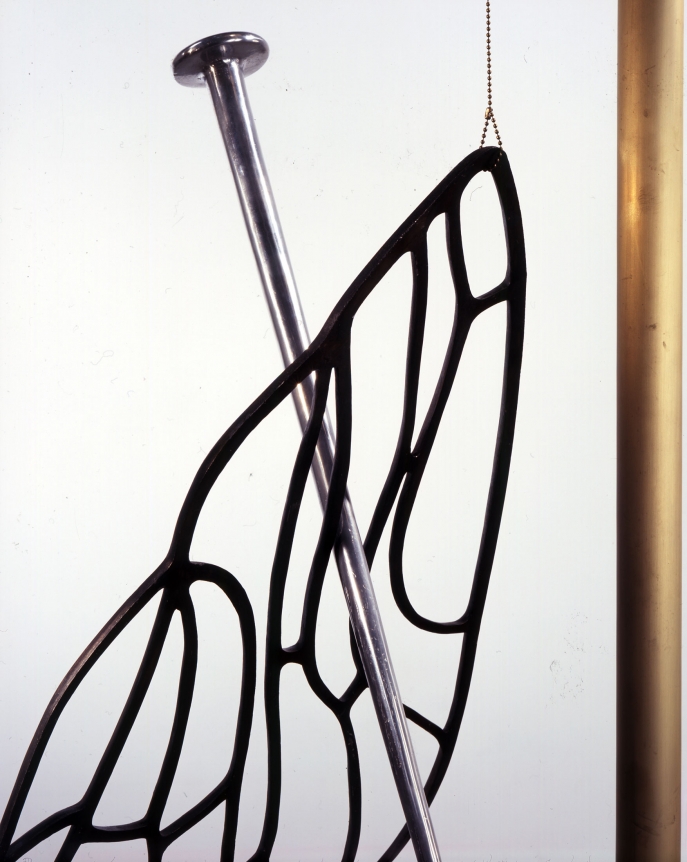 Tunga, Siamese Flies, 2007