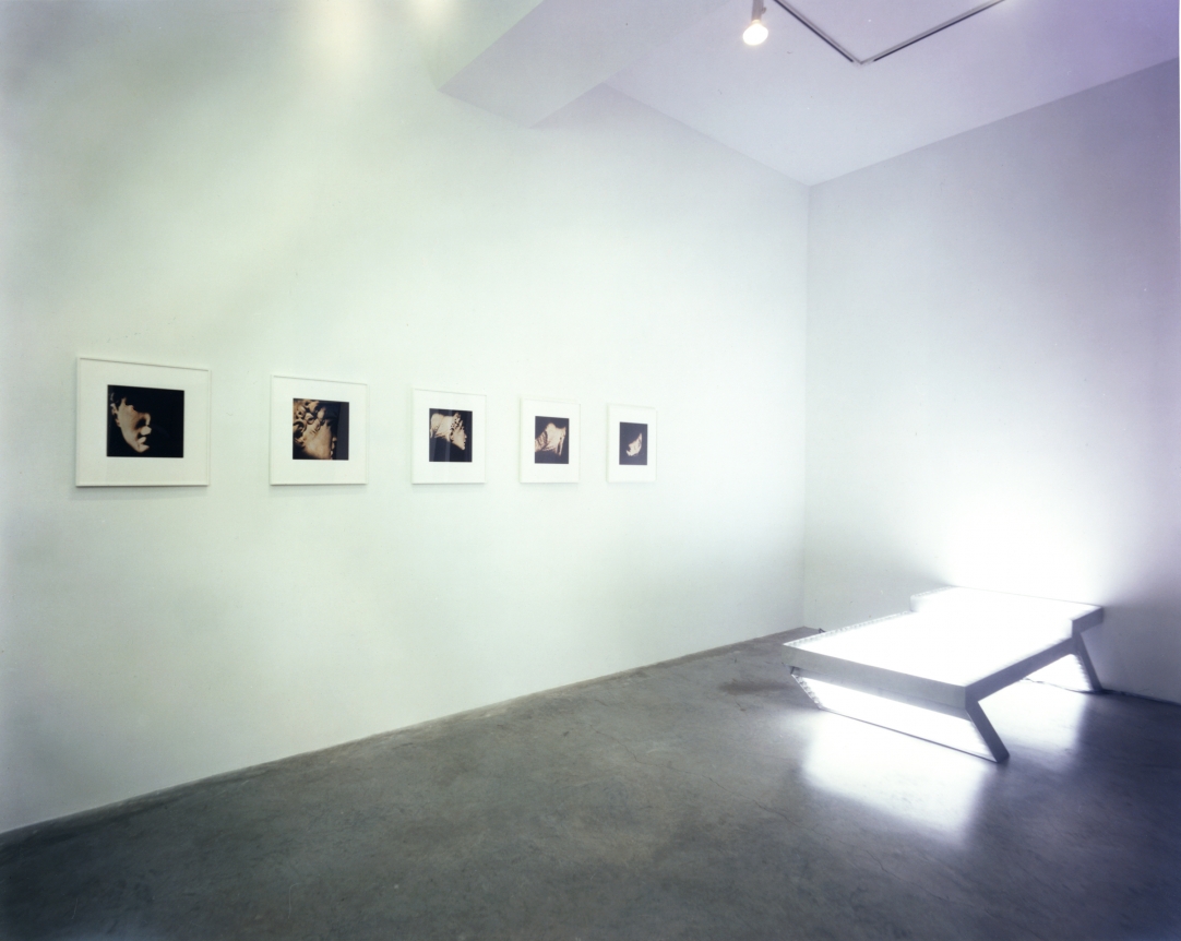 The Ossuary, Installation view