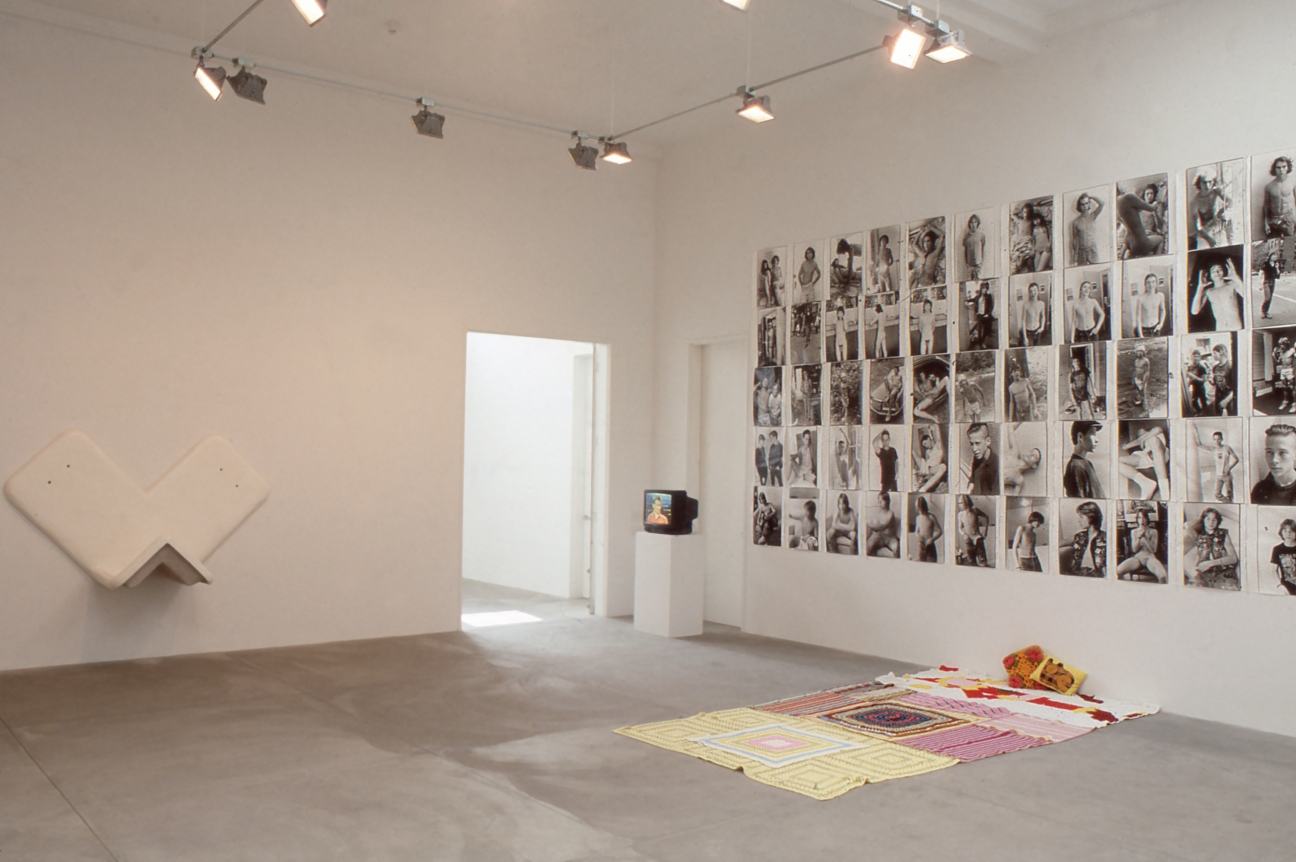 Larry Clark, Robert Gober, Mike Kelley, Jeff Koons, Cady Noland, Richard Prince, Cindy Sherman and Christopher Wool, Installation view