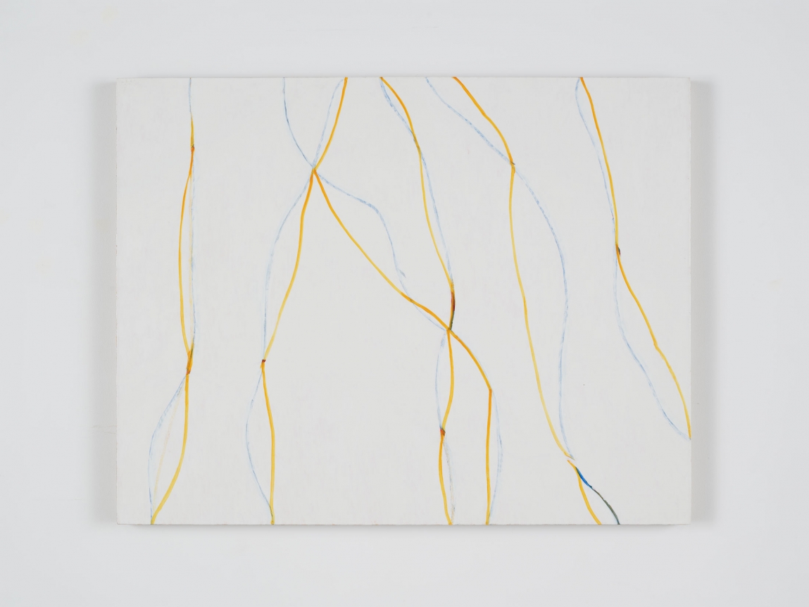 Zeng Hong United Lines (yellow and blue), 2018
