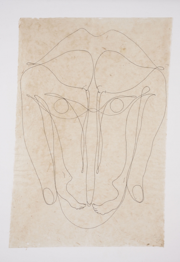 Tunga Untitled, 2013 