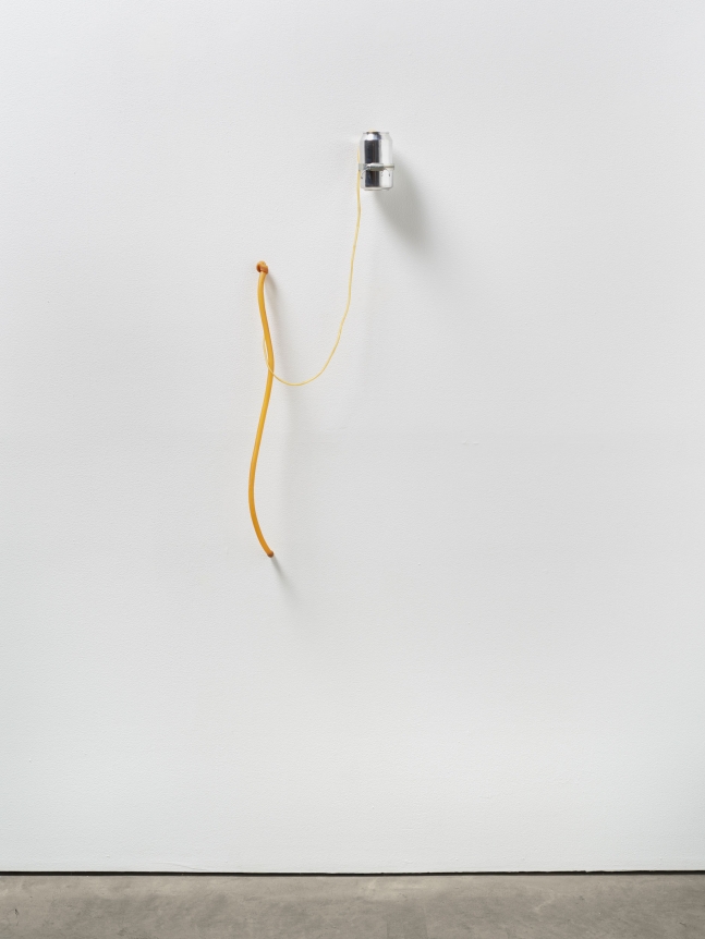 Lucia Nogueira Untitled, 1989