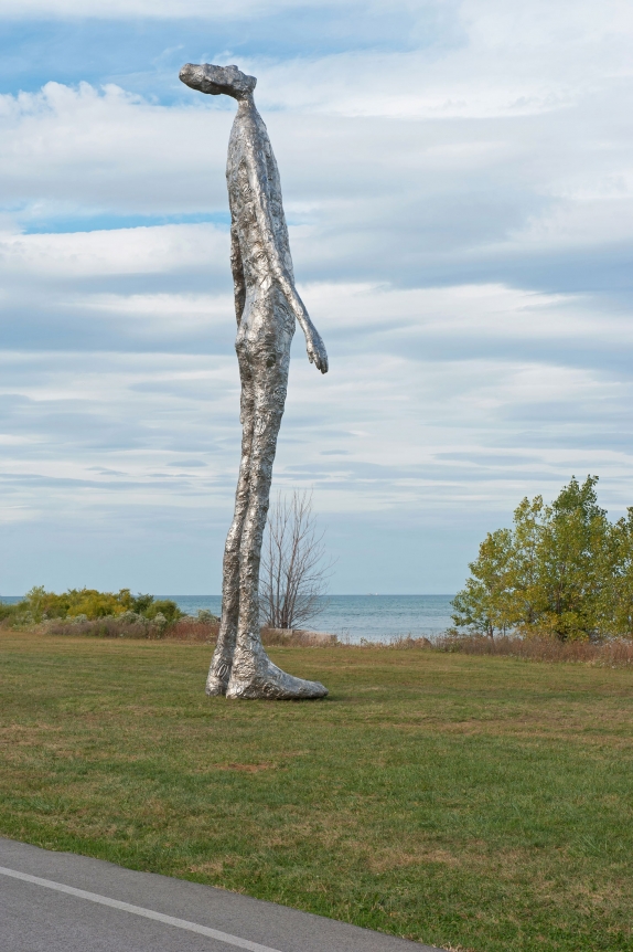 Tom Friedman, Looking Up, 2015