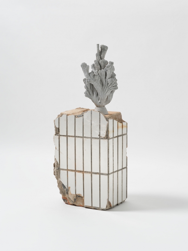 Zhang Ruyi, Matte Substance-1, 2019