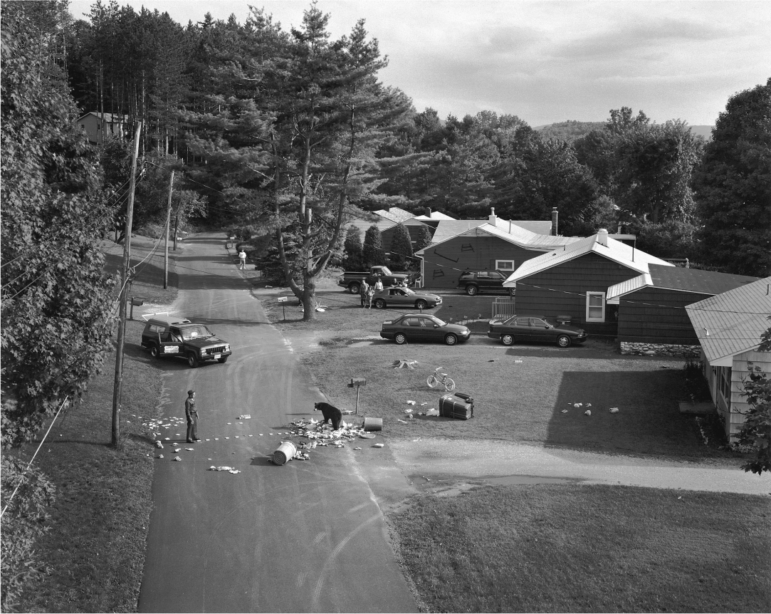 Gregory Crewdson, Untitled (dog catcher and bear), 1997
