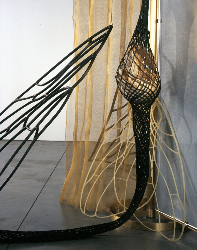 Tunga, La Mouche, 2007