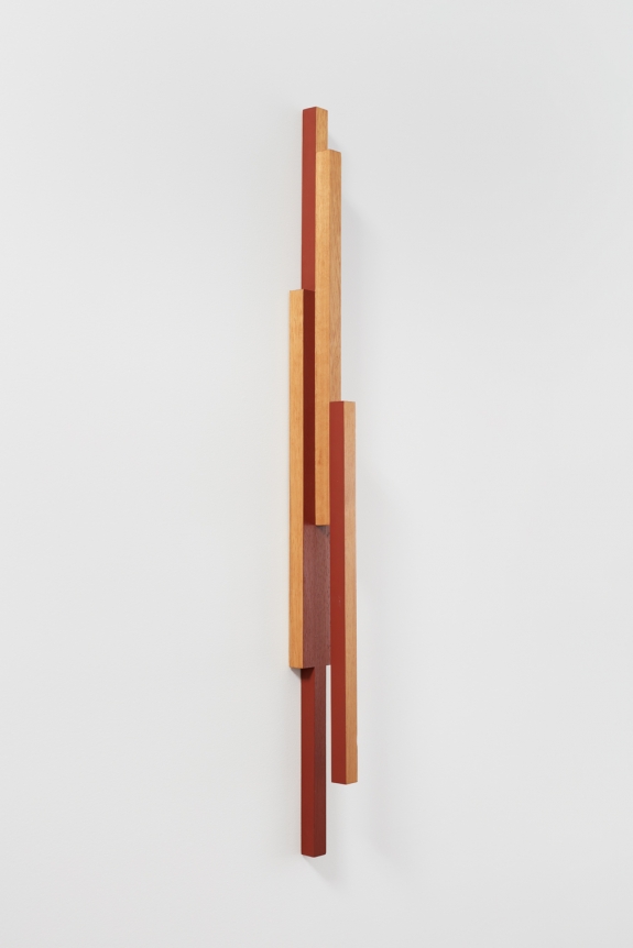 Willys de Castro , Pluriobjeto, 1966