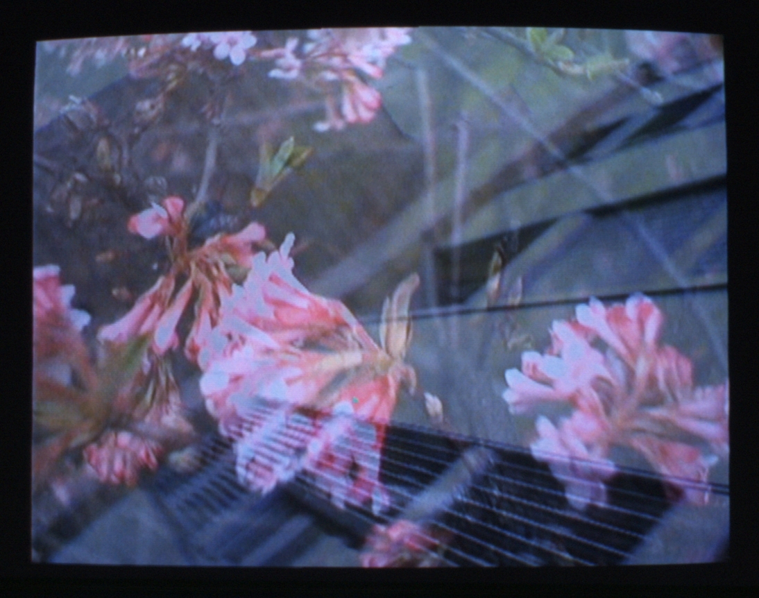 Pipilotti Rist , Cinquante Fifty, 2000