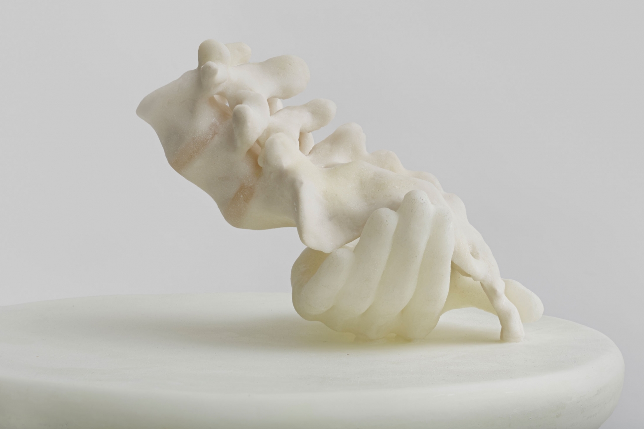 Janine Antoni, to return, 2015