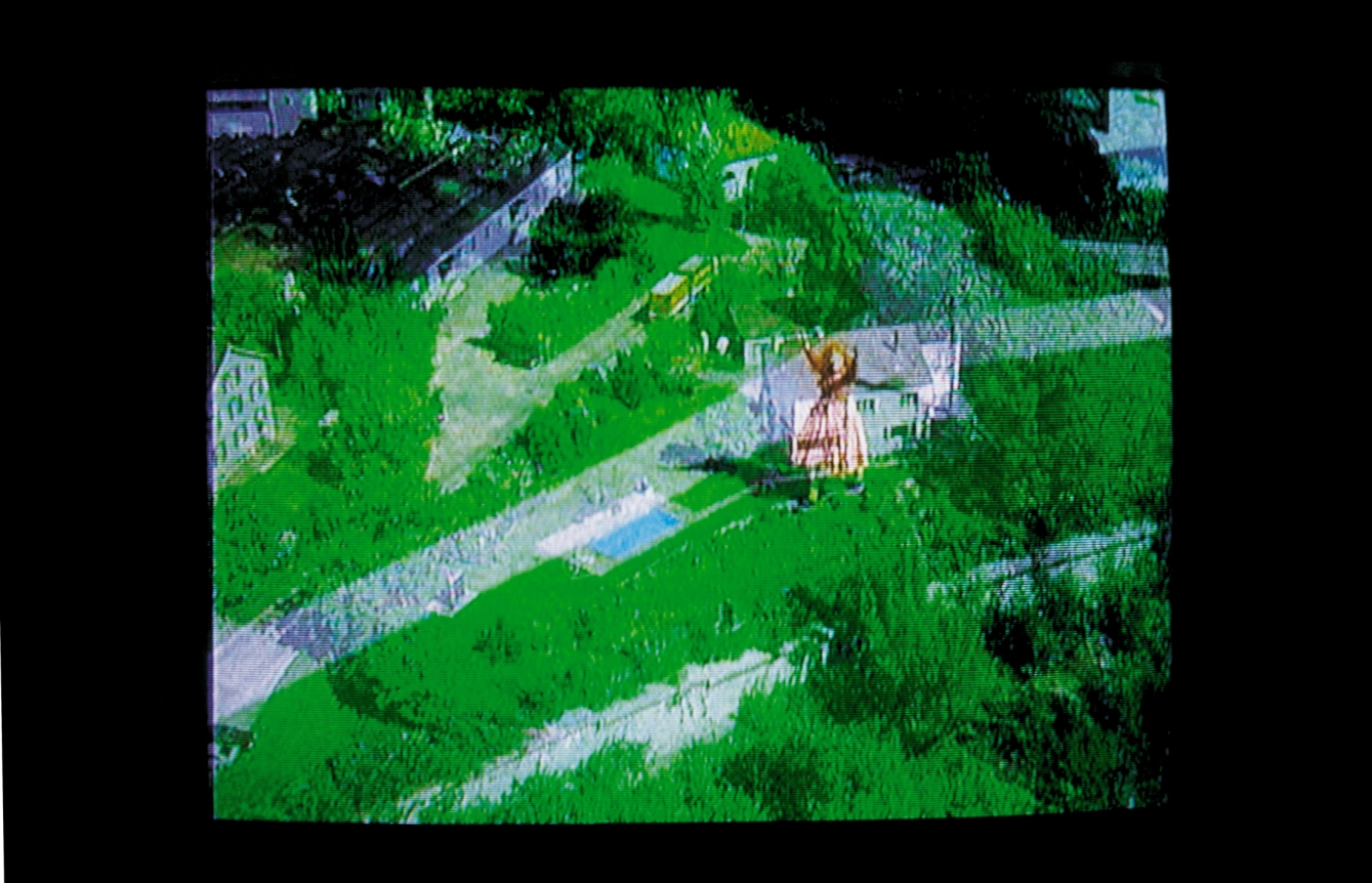 Pipilotti Rist, Atmosphäre & Instinkt (Atmosphere & Instinct), 1998
