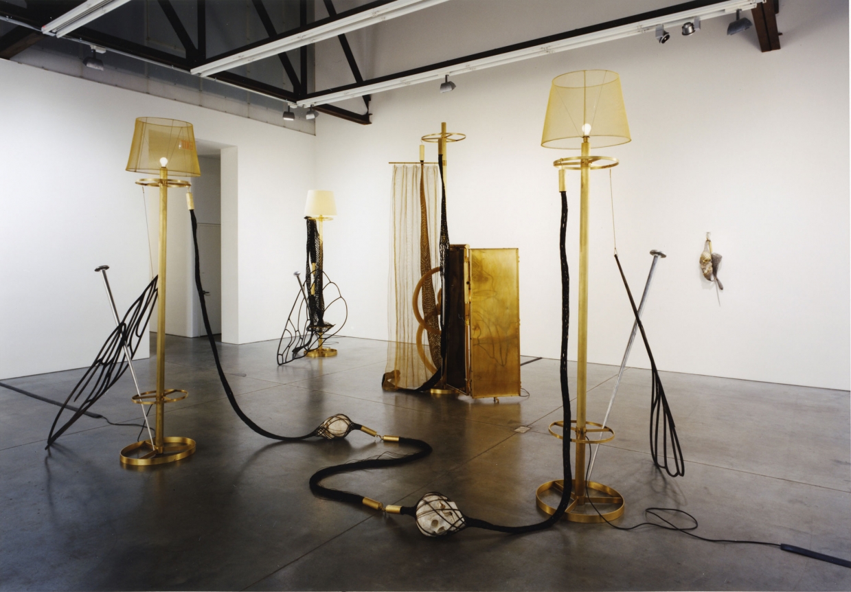 Tunga, Installation view