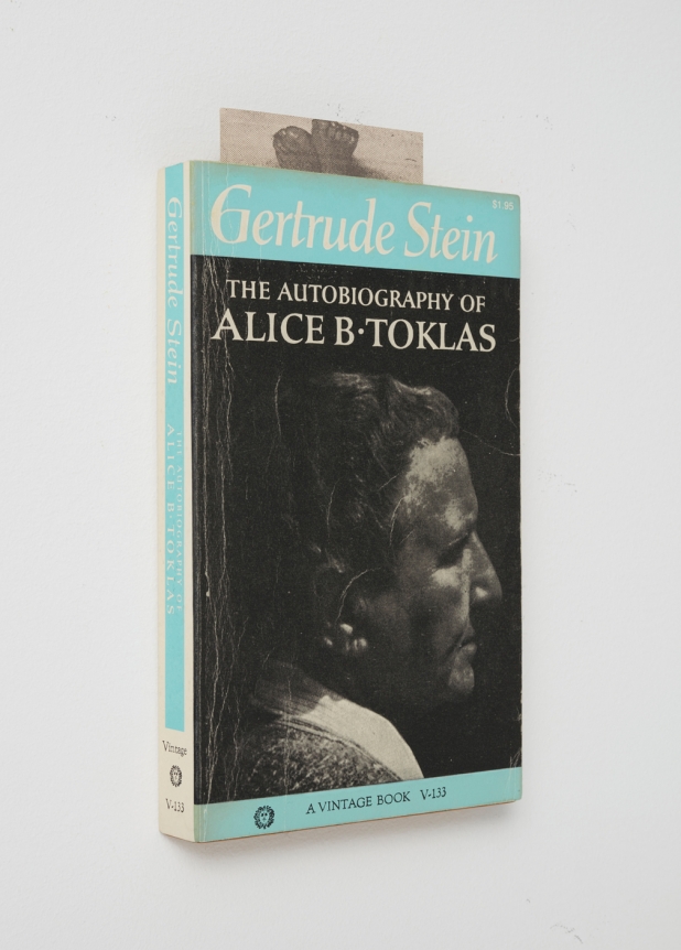 Steve Wolfe, Untitled (The Autobiography Of Alice B. Toklas), 2004-2005