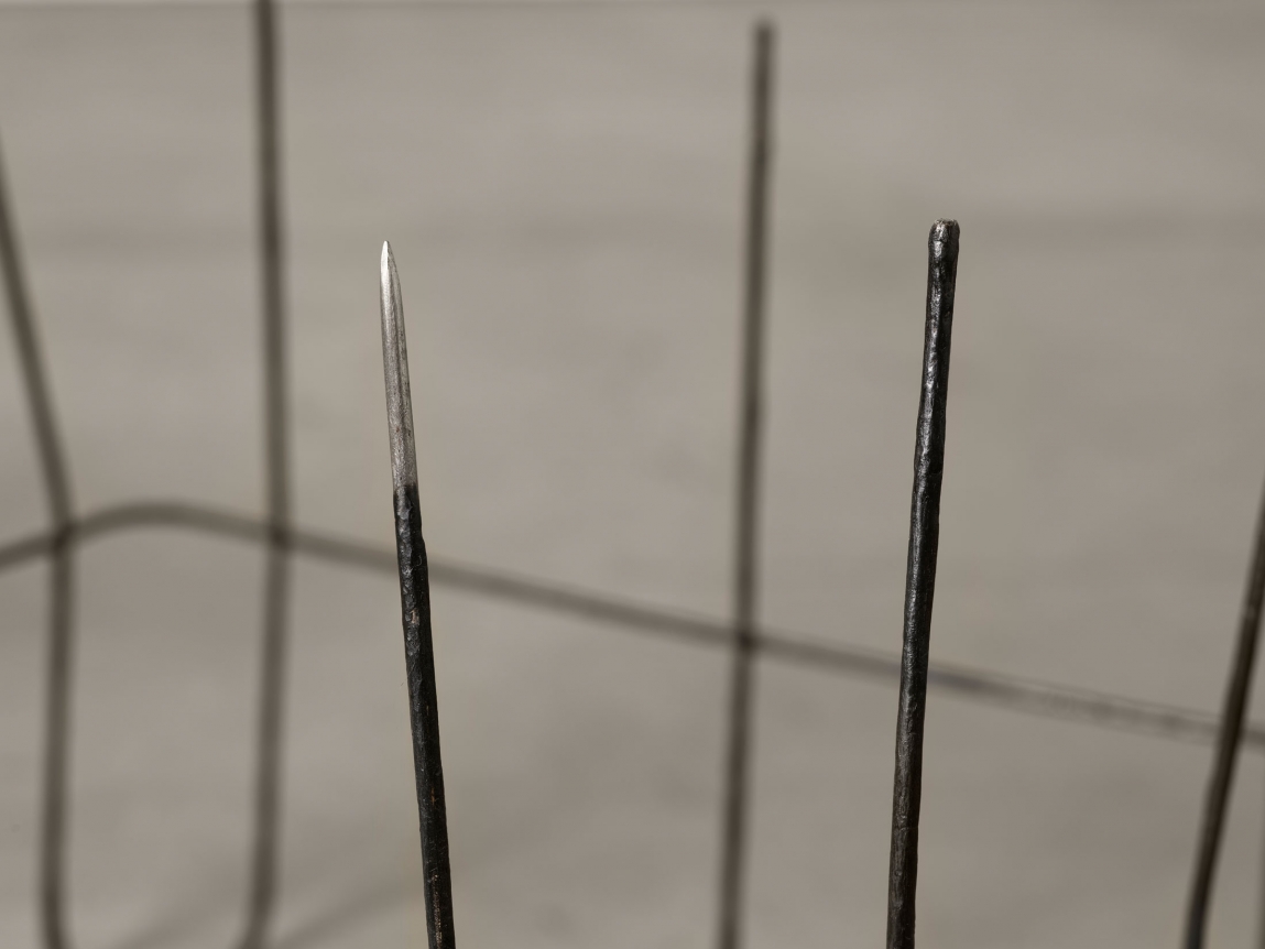 Lucia Nogueira Untitled, 1994
