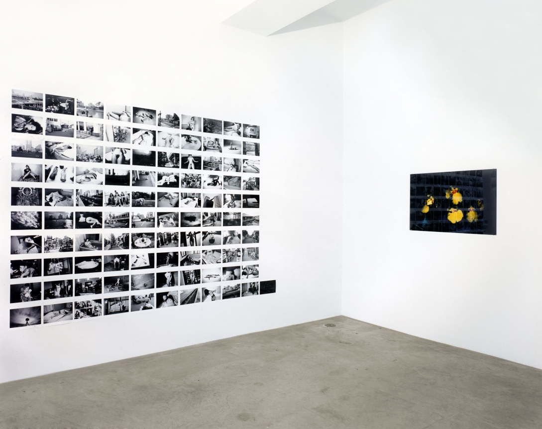 Exposure, Installation view