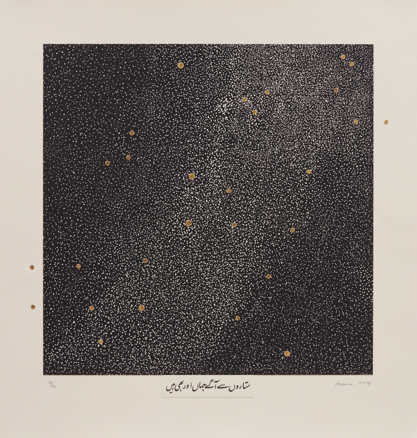 Zarina Beyond the Stars, 2014