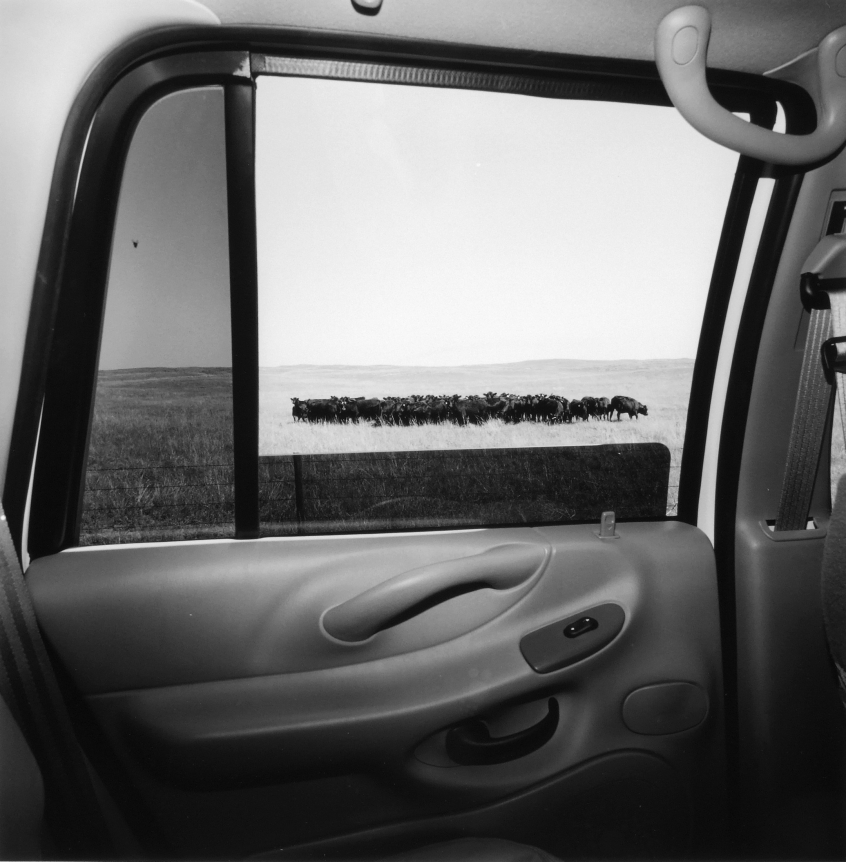 Lee Friedlander, Nebraska, 1999