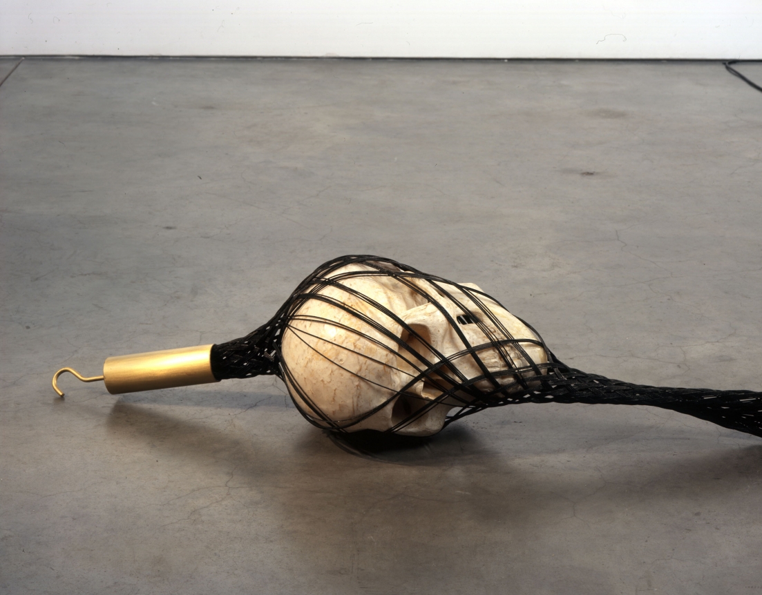 Tunga, Siamese Flies, 2007