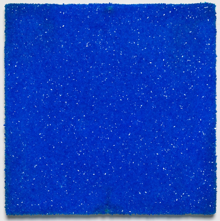 Roger Hiorns Untitled, 2015