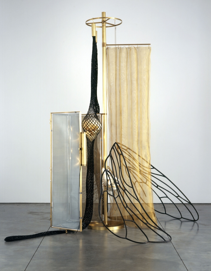 Tunga, La Mouche, 2007
