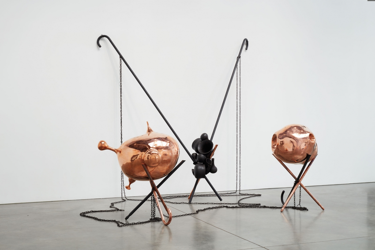Tunga, A Bela e a Fera - La Belle et la Bête, 2001-2012