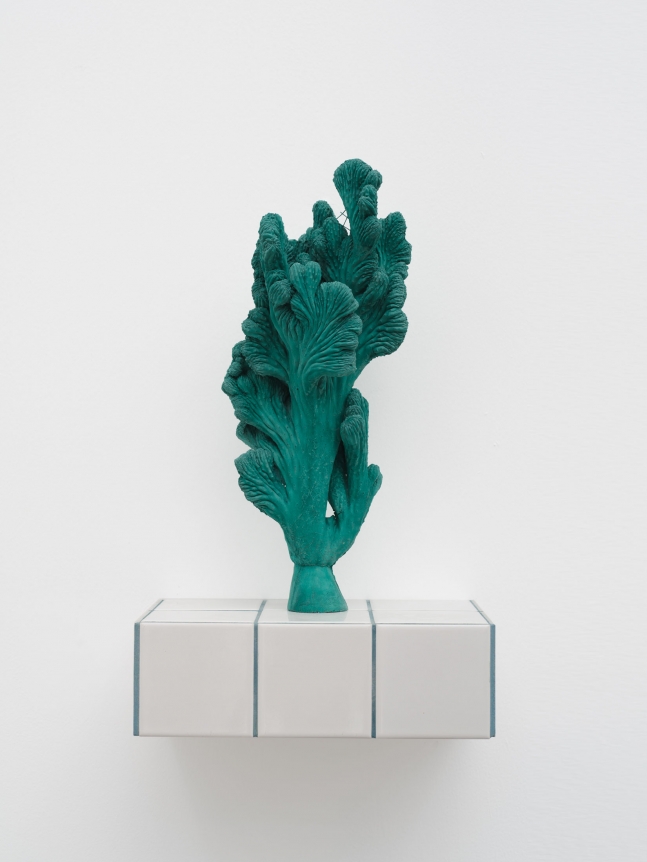 Zhang Ruyi Individual Plant—24, 2019