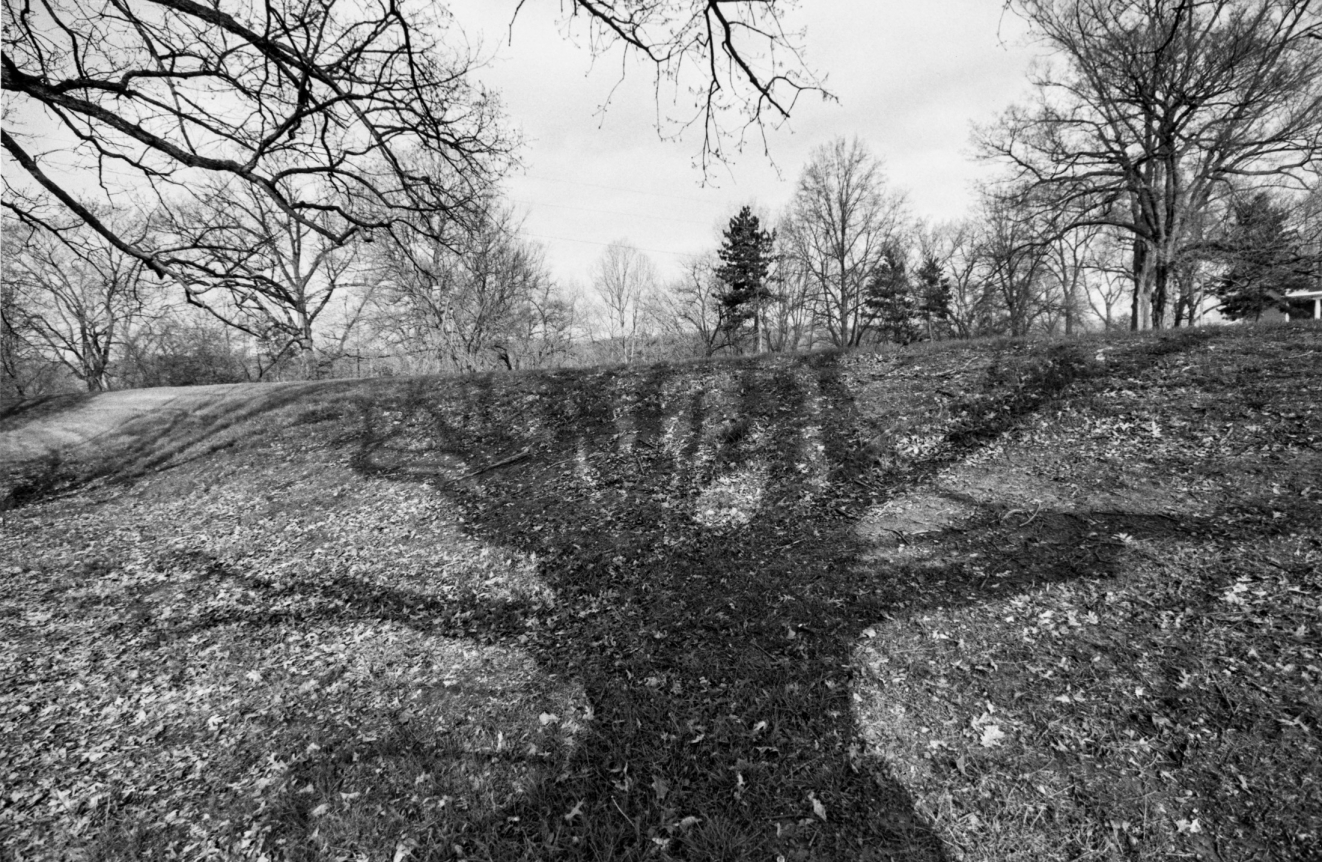 Lee Friedlander, Shawnee Park, Louisville, Kentucky, 1990
