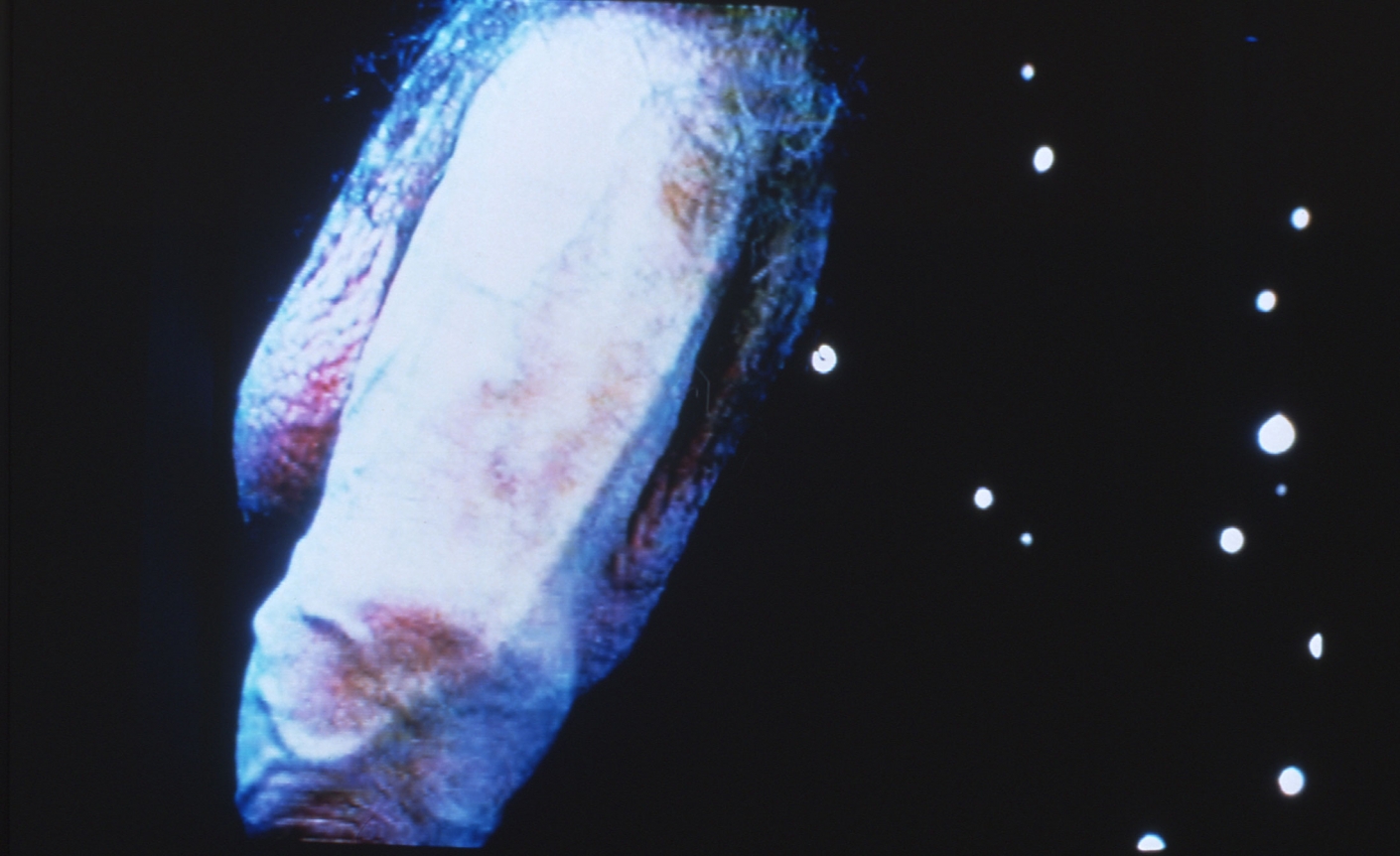 Pipilotti Rist , Extremitäten (weich, weich) (Extremities (smooth, smooth), 1999