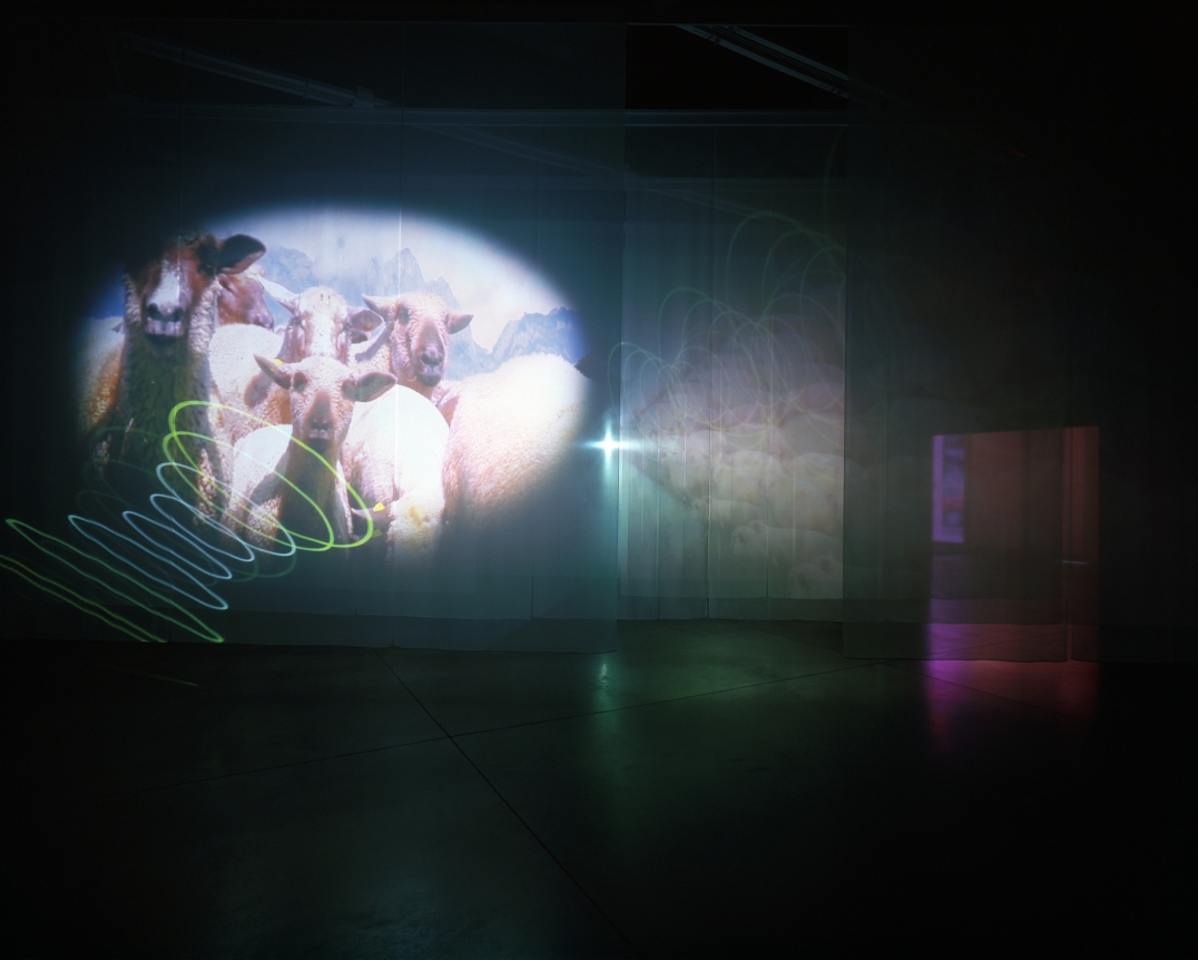 Pipilotti Rist Layers Mama Layers, 2010